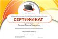 Сертификат о создании электронного портфолио на сайте Netfolio
